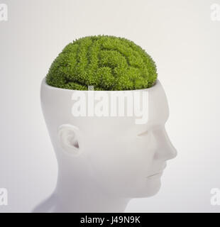 Plant shaped like a human brain - intelligence and memory concept 3D illustration