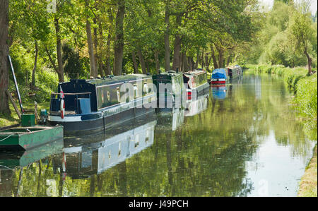 Barges moored along the Wey Navigation Canal, Godalming, Surrey. Stock Photo