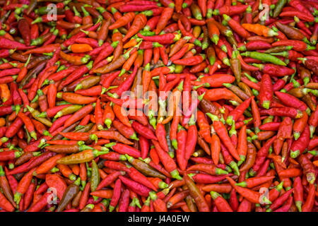 BAC HA, VIETNAM - CIRCA SEPTEMBER 2014:   Red chili peppers at the  Bac Ha sunday market, the biggest minority people market in Northern Vietnam Stock Photo