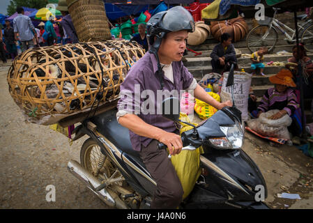 BAC HA, VIETNAM - CIRCA SEPTEMBER 2014:  Vietnamese man riding motorbike at the Bac Ha sunday market, the biggest minority people market in Northern V Stock Photo