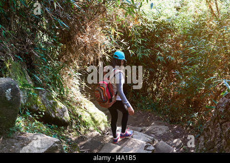 Traveller walk on stone road in forest. Woman doing trekking in Peru Stock Photo