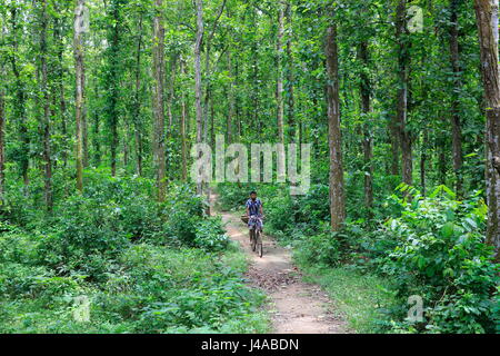 A man rides bicycle through the Madhupur forest. Tangail, Bangladesh. Stock Photo