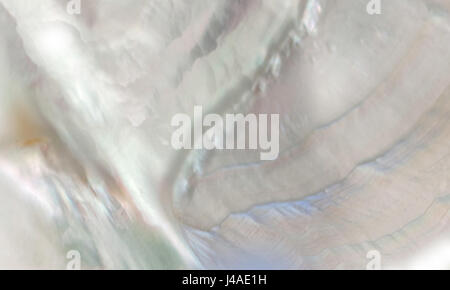 Abstract nacreous satin mother of pearl shell background,teal,pale blue,aqua and mauve - concepts Stock Photo
