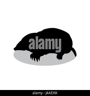 Mole insectivores mammal black silhouette animal Stock Vector