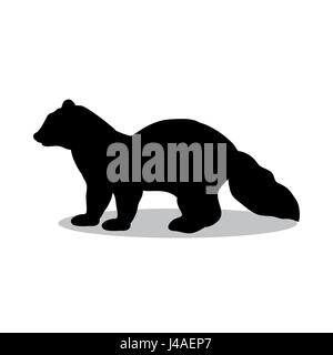Wild sable, forest animal. Symbol of the north. Vintage monochrome style.  Mammal in Europe, Russia, from the Ural Mountains. Engraved hand drawn  Stock Vector Image & Art - Alamy