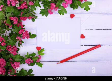 Empty sheet of paper and a red wooden pencil on a white surface, in the corner a branch of hawthorn with pink flowers Stock Photo