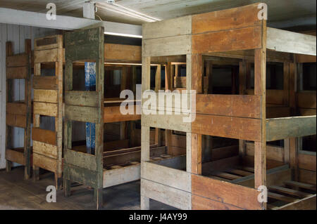 Bunker wooden beds in Nazi German concentration camp KL Stutthof in 72 anniversary of liberation of the concentration camp by the Red Army in Museum o Stock Photo