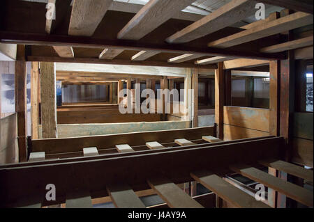 Bunker wooden beds in Nazi German concentration camp KL Stutthof in 72 anniversary of liberation of the concentration camp by the Red Army in Museum o Stock Photo