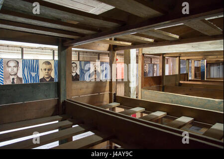 Bunker wooden beds in Nazi German concentration camp KL Stutthof in 72 anniversary of liberation of the concentration camp by the Red Army in Museum o Stock Photo