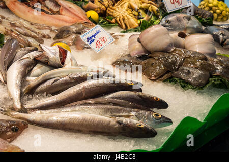 Fish for sale in a shop in Santa Caterina Market, Barcelona, Spain. Stock Photo