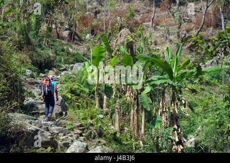 Trekker climbing stone steps on the Annapurna circuit between Jagat and Chamje on the Annapurna circuit, Nepal. Stock Photo