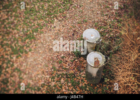 Two garbage cans in a park from above on a lawn with many autumn leaves on the ground in october Stock Photo