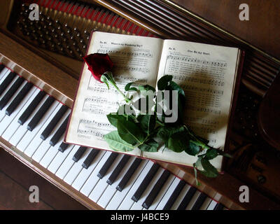 This image likely depicts a rose placed on a music book lying on a piano, combining elements of nature and music, perhaps symbolizing beauty, emotion, and artistic expression through visual composition. Stock Photo