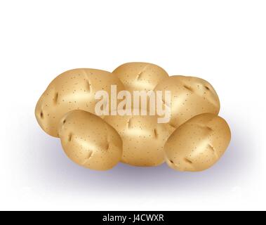 Potatoes isolated on white background Stock Vector
