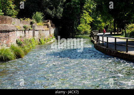 Sunshine glints from the turbulent waters of the River Itchen as it flows through The Weirs public space in the middle of historic Winchester, UK. Stock Photo