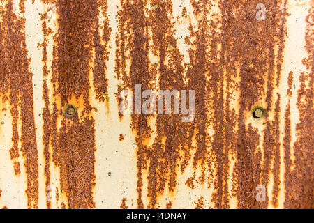 The surface of an old painted rusty steel sheet. Two nail heads. Background or texture. Stock Photo