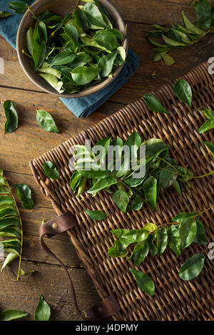 Raw Green Organic Curry Leaves Ready to Cook With Stock Photo
