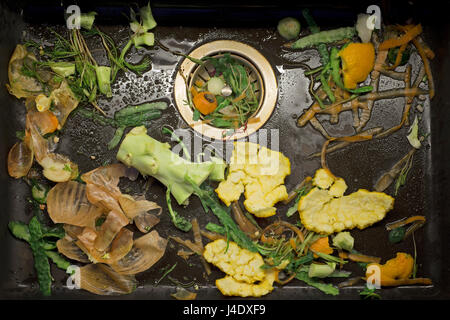 fresh vegetable scarp in the sink Stock Photo