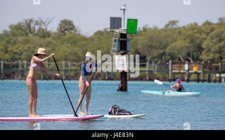 West Palm Beach, Florida, USA. 12th May, 2017. Paddle boarders, swimmers, snorkelers share the Intracoastal Waterway north of the Jupiter lighthouse. Boaters blame paddle boarders for getting in their way. Paddle boarders blast boaters for going too fast. Business people say they want to protect the environment. Politicians struggle for compromise. Welcome to the ongoing battle to regulate boat speeds on the Intracoastal Waterway in north Palm Beach county on May 12, 2017. Credit: Allen Eyestone/The Palm Beach Post/ZUMA Wire/Alamy Live News