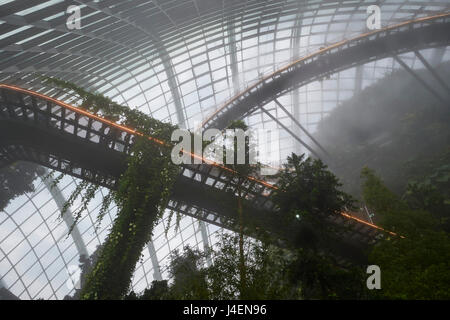 Inside the Cloud Forest biosphere at Gardens by the Bay, Singapore, Southeast Asia, Asia Stock Photo