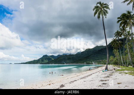 Temae public beach, Moorea, Society Islands, French Polynesia, Pacific Stock Photo