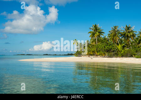 Beautiful palm fringed white sand beach in the turquoise waters of Tikehau, Tuamotus, French Polynesia, Pacific Stock Photo