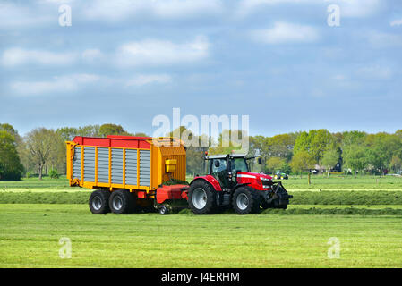 Tractor and a Self-loading and harvester-filled forage wagon collecting mowed grass. Stock Photo