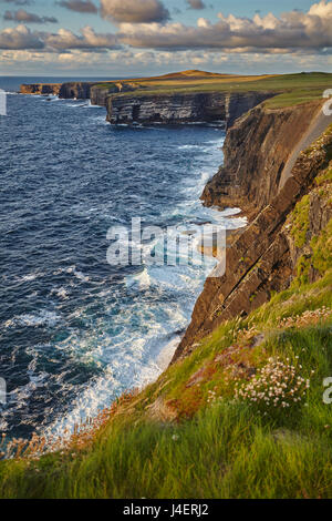 The cliffs at Loop Head, near Kilkee, County Clare, Munster, Republic of Ireland, Europe Stock Photo