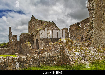 The ruins of Hore Abbey, near the ruins of the Rock of Cashel, Cashel, County Tipperary, Munster, Republic of Ireland, Europe Stock Photo