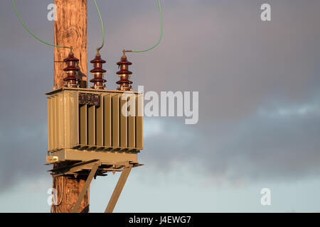 A electric transformer on a power line pole Stock Photo