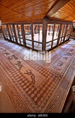 Inside the 'House of Dionysus', full of fantastic Roman mosaic floors (among them some hunting scenes) in the Archaeoological Park of Paphos, Cyprus. Stock Photo