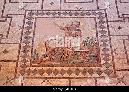 The 'Narcissus' mosaic Inside the 'House of Dionysus'  in the Archaeoological Park of Paphos (UNESCO World Heritage Site), Cyprus. Stock Photo