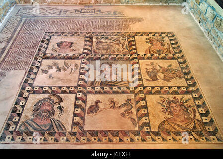 'The Four Seasons' mosaic Inside the 'House of Dionysus'  in the Archaeoological Park of Paphos (UNESCO World Heritage Site), Cyprus. Stock Photo