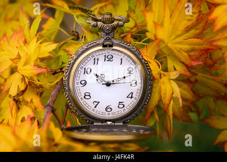 Autumn Time Stock Photo