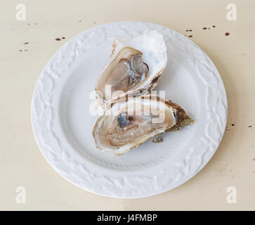 Fresh oysters on the half shell. Stock Photo