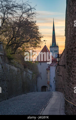 St. Olav Church tower against colorful morning sky. View from Pikk jalg street, Tallinn, Estonia Stock Photo