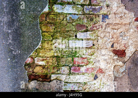 Abstract background texture with old mossy brick wall. Stock Photo