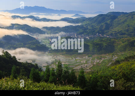 Rice fields on terraced in sunrise, China Stock Photo