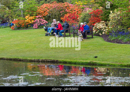 Visitors and dog relaxing by the pond with stunning rhododendrons and azaleas at Exbury Gardens, New Forest National Park, Hampshire in May Spring Stock Photo