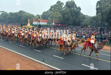 The Indian Army Border Security Force Camel Contingent forces pass through the Rajpath ceremonial boulevard during the 68th Republic Day Parade January 26, 2017 in New Delhi, India.  (photo by Gajender-Singh /PIB via Planetpix) Stock Photo