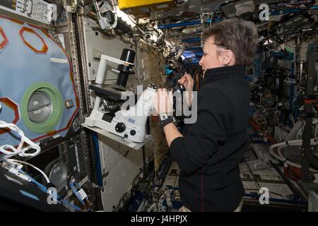 NASA International Space Station Expedition 50 prime crew member astronaut Peggy Whitson uses a microscope in the ISS U.S. Destiny laboratory module February 21, 2017 in Earth orbit.     (photo by NASA   via Planetpix) Stock Photo