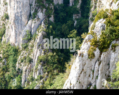 Verdon, France: Griffins on overhanging rock Stock Photo