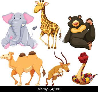 Six different types of wild animals illustration Stock Vector