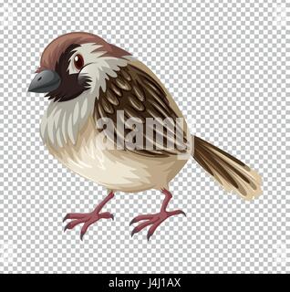 Sparrow bird on transparent background illustration Stock Vector