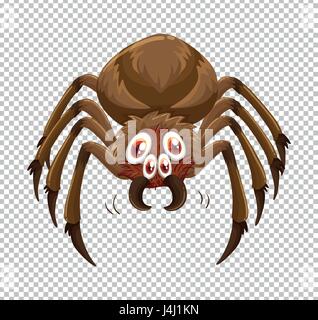 Wild spider on transparent background illustration Stock Vector