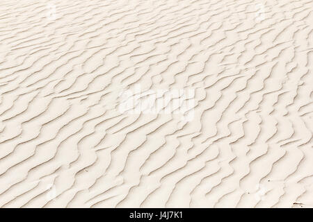 Ripples in the sand of a beach, formed by wind. Texture, Backgrounds. Stock Photo