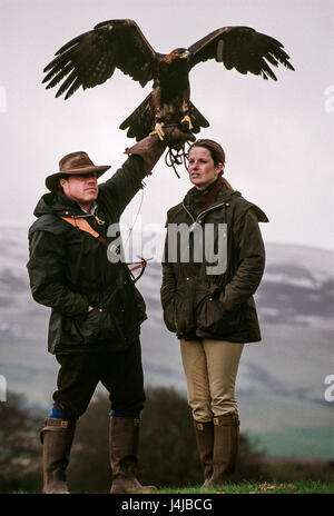 Falconers Steve and Emma Ford posing with one of their fully grown hunting golden eagles in Gleneagles, Scotland. Derek Hudson / Alamy Stock Photo Stock Photo