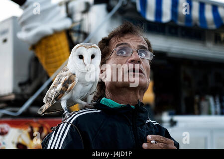 Best friends- a nice gentleman with an owl. Picture taken on Gozo, Malta, near Azure Window (a few months before it collapsed). Stock Photo