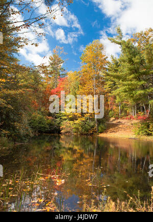 Autumn lake surrounded by fall leaves and color Stock Photo