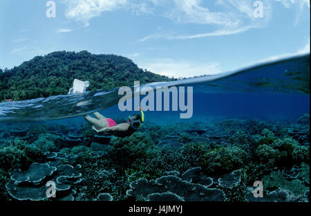 Island, tropical, sea, coral reef, woman, to snorkels Stock Photo